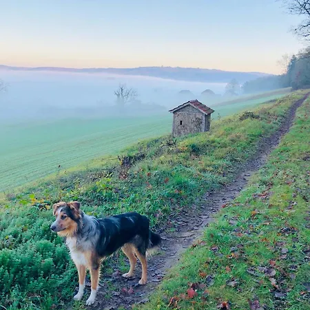 Cosy Et Situation Ideale - Les Pierres De Lascaux
