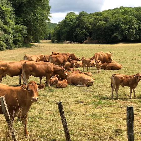 Holiday home - Les Pierres De Lascaux Montignac-Lascaux