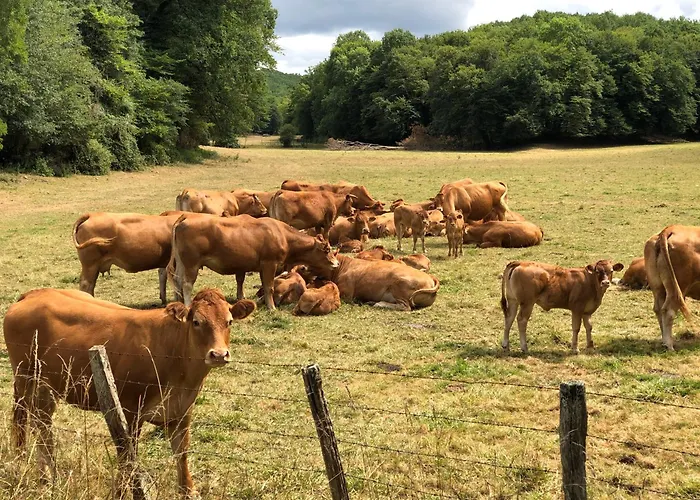 Casa vacanze - Les Pierres De Lascaux Montignac-Lascaux